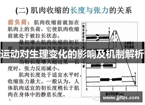 运动对生理变化的影响及机制解析