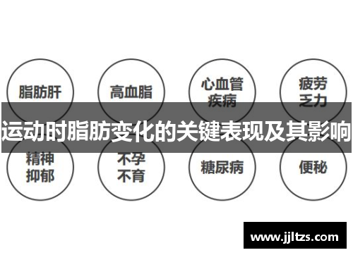 运动时脂肪变化的关键表现及其影响